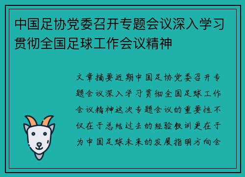 中国足协党委召开专题会议深入学习贯彻全国足球工作会议精神